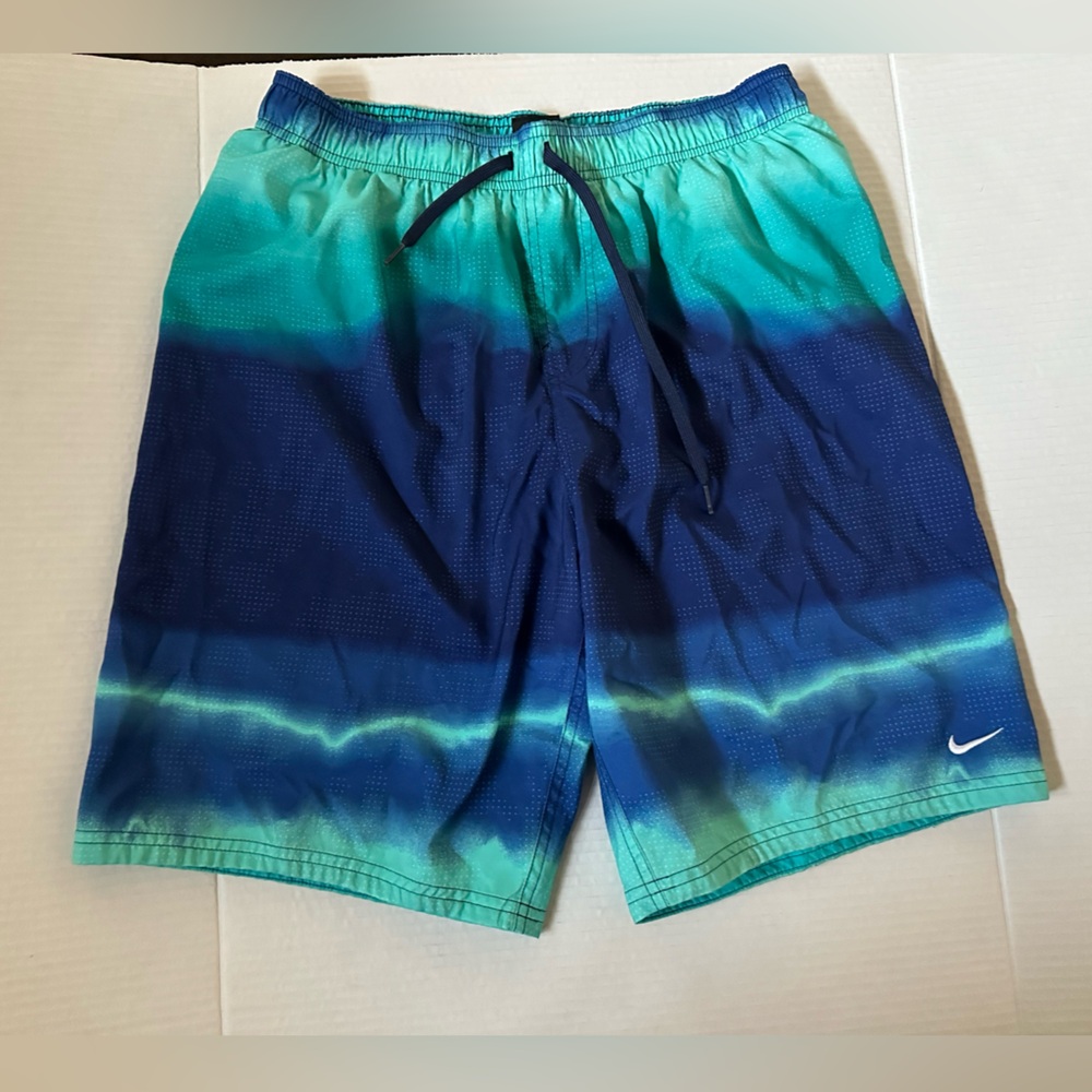 Nike Men's Blue Swim trunk shorts